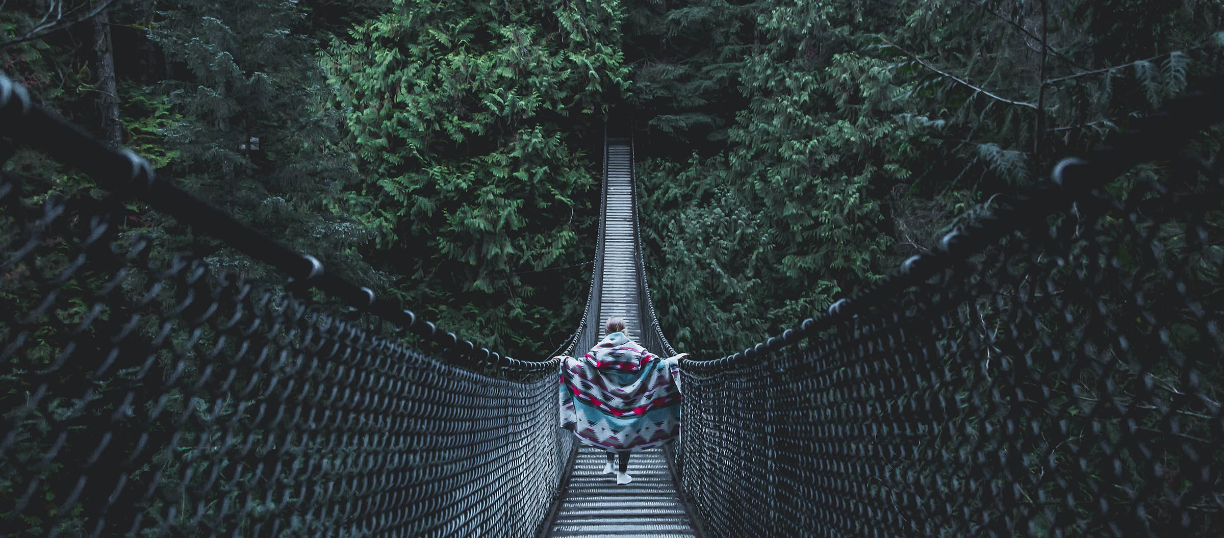 lynn canyon vancouver british columbia que hacer