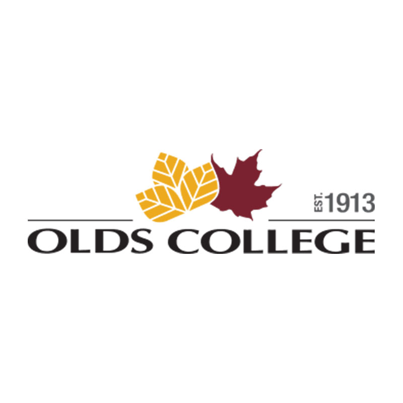 Ods College