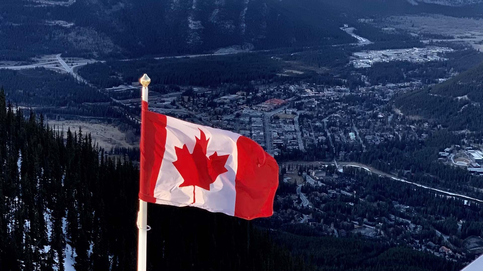 canada cambios migratorios en educacion