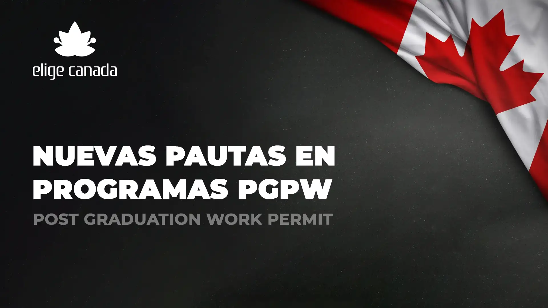 nuevas pautas pgwp canada